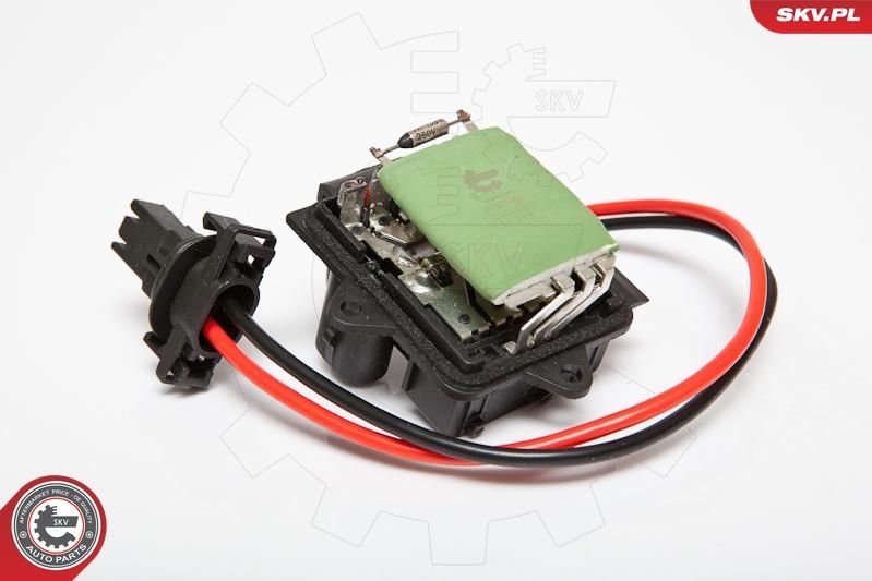 Varža, vidaus pūtiklis ESEN SKV 95SKV065