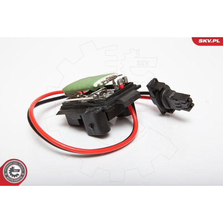 Varža, vidaus pūtiklis ESEN SKV 95SKV065