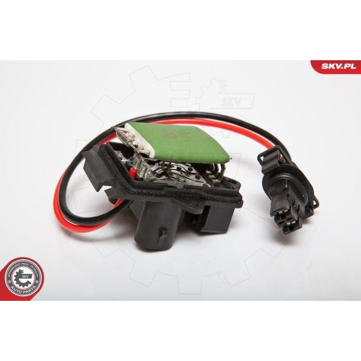 Varža, vidaus pūtiklis ESEN SKV 95SKV066