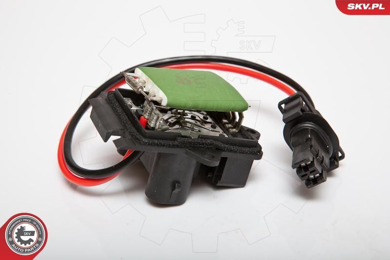 Varža, vidaus pūtiklis ESEN SKV 95SKV066