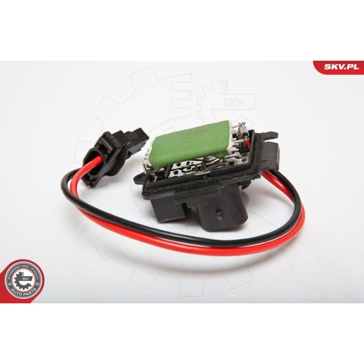 Varža, vidaus pūtiklis ESEN SKV 95SKV066