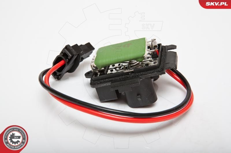 Varža, vidaus pūtiklis ESEN SKV 95SKV066