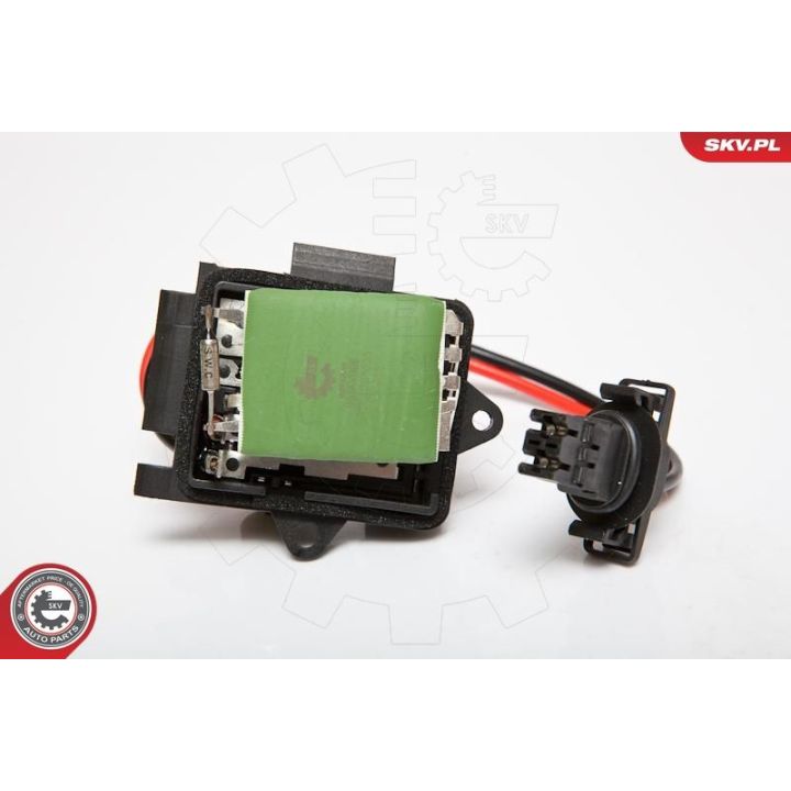 Varža, vidaus pūtiklis ESEN SKV 95SKV066