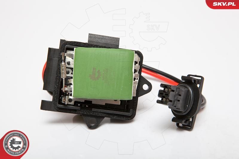 Varža, vidaus pūtiklis ESEN SKV 95SKV066