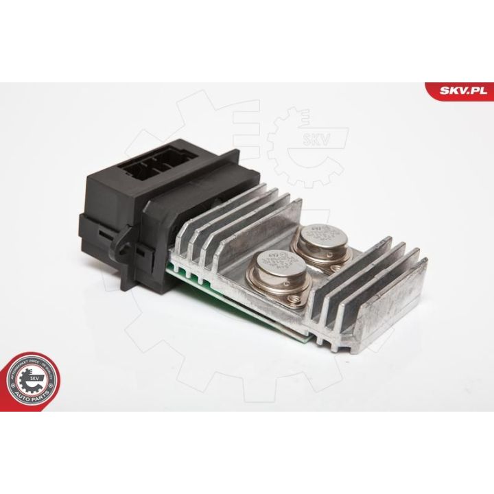 Varža, vidaus pūtiklis ESEN SKV 95SKV067