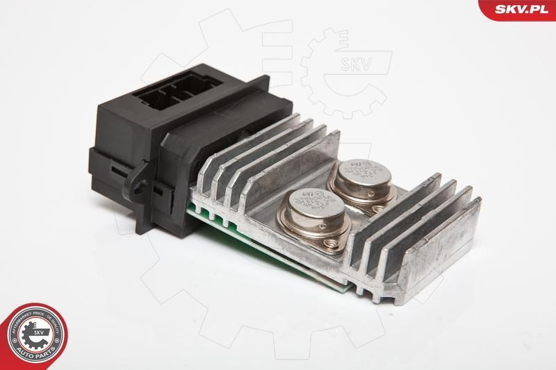 Varža, vidaus pūtiklis ESEN SKV 95SKV067