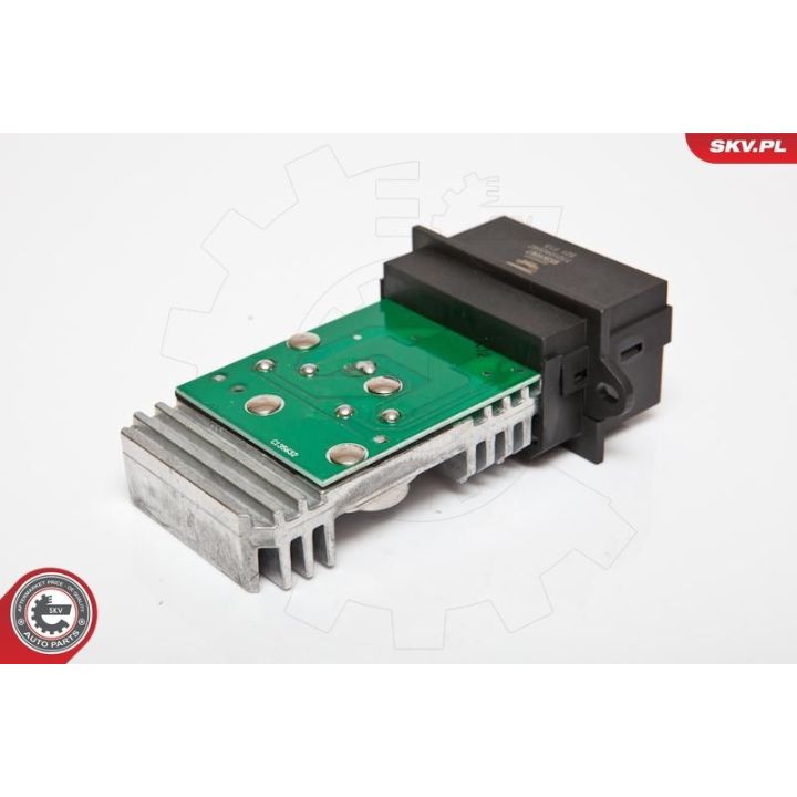 Varža, vidaus pūtiklis ESEN SKV 95SKV067