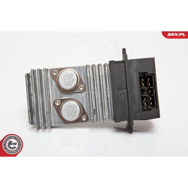 Varža, vidaus pūtiklis ESEN SKV 95SKV067