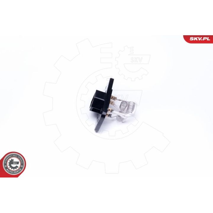 Varža, vidaus pūtiklis ESEN SKV 95SKV079