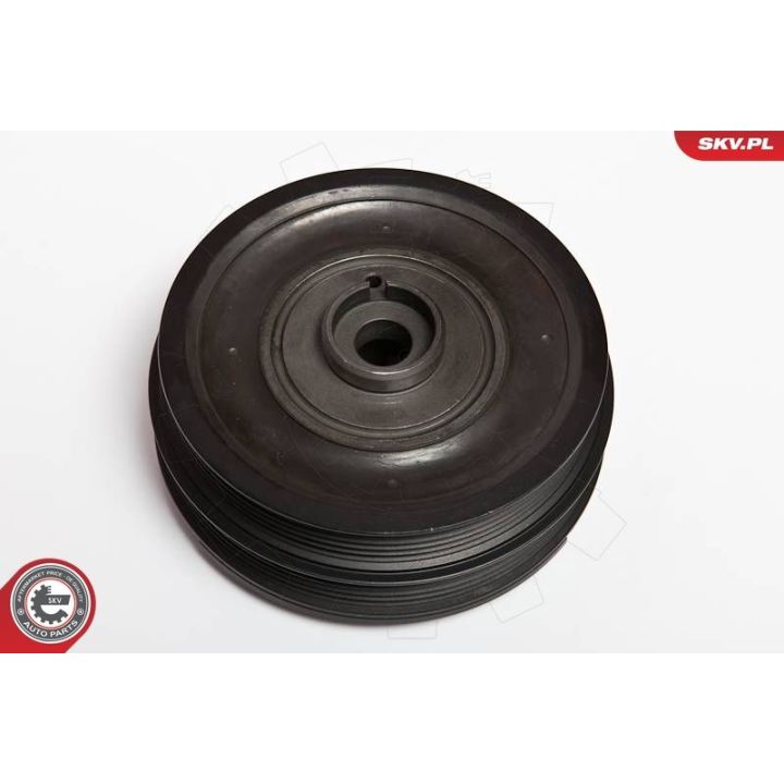 Skriemulys, alkūninis velenas ESEN SKV 95SKV303