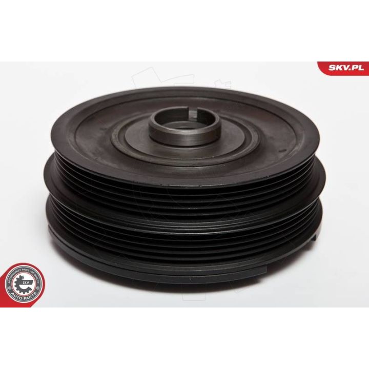 Skriemulys, alkūninis velenas ESEN SKV 95SKV303