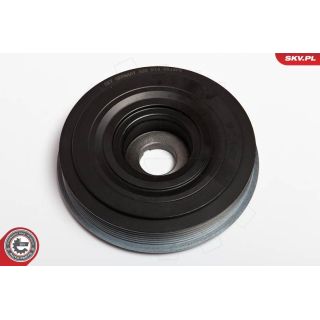 Skriemulys, alkūninis velenas ESEN SKV 95SKV305