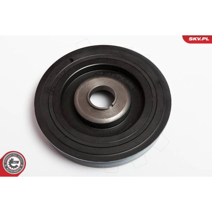 Skriemulys, alkūninis velenas ESEN SKV 95SKV305