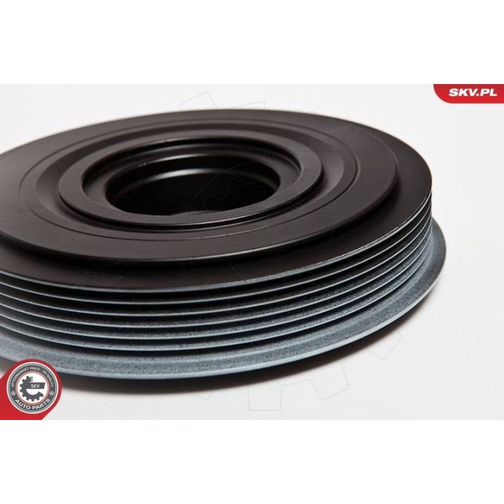 Skriemulys, alkūninis velenas ESEN SKV 95SKV305