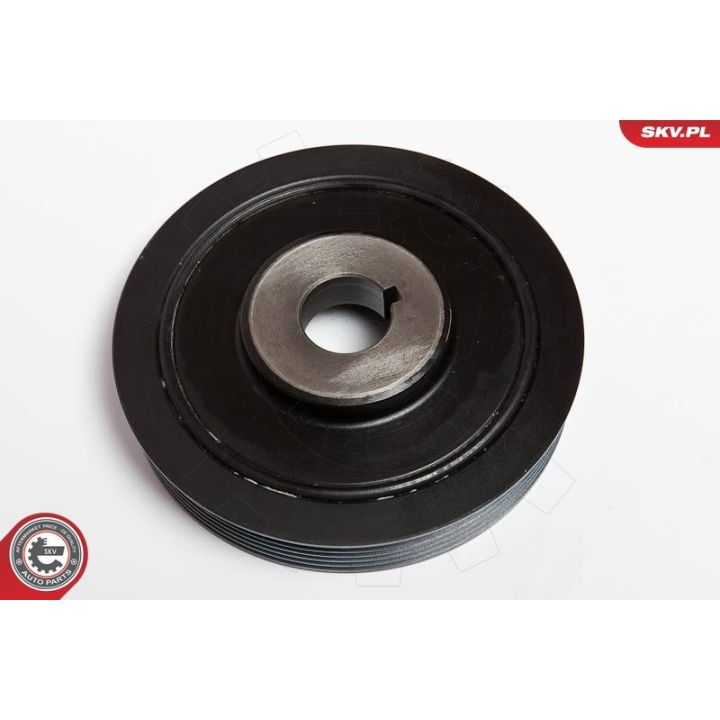 Skriemulys, alkūninis velenas ESEN SKV 95SKV306