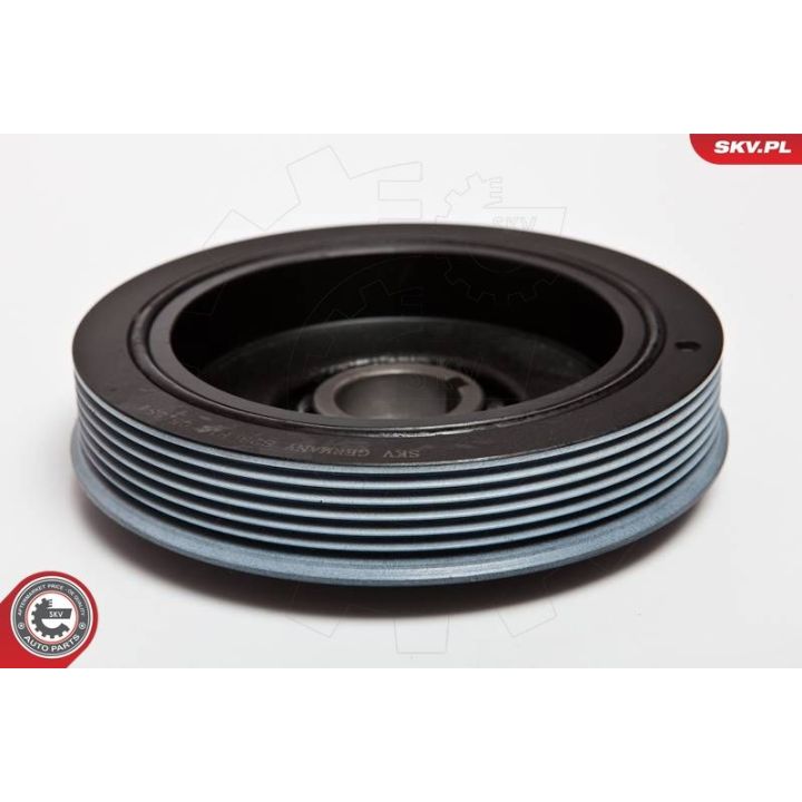 Skriemulys, alkūninis velenas ESEN SKV 95SKV306