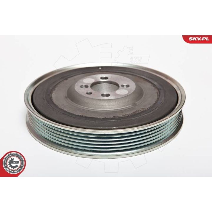 Skriemulys, alkūninis velenas ESEN SKV 95SKV308