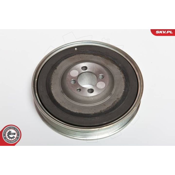 Skriemulys, alkūninis velenas ESEN SKV 95SKV308