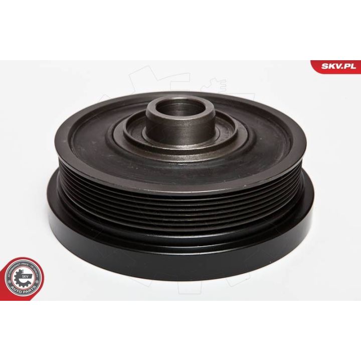 Skriemulys, alkūninis velenas ESEN SKV 95SKV309