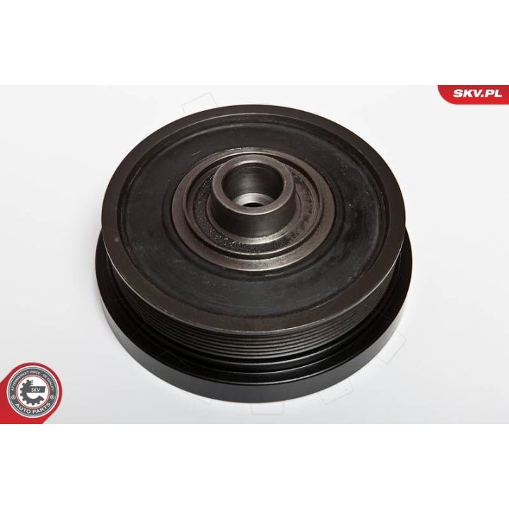 Skriemulys, alkūninis velenas ESEN SKV 95SKV309