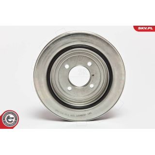 Skriemulys, alkūninis velenas ESEN SKV 95SKV311