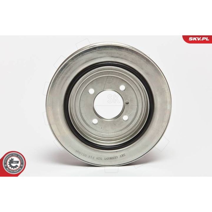 Skriemulys, alkūninis velenas ESEN SKV 95SKV311