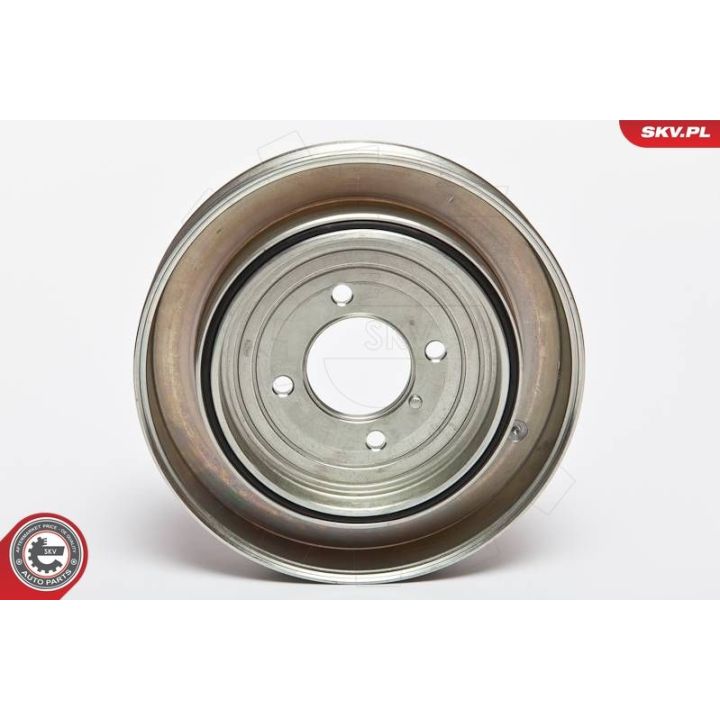 Skriemulys, alkūninis velenas ESEN SKV 95SKV311