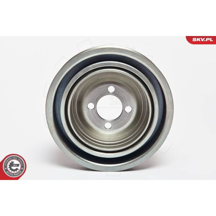 Skriemulys, alkūninis velenas ESEN SKV 95SKV312