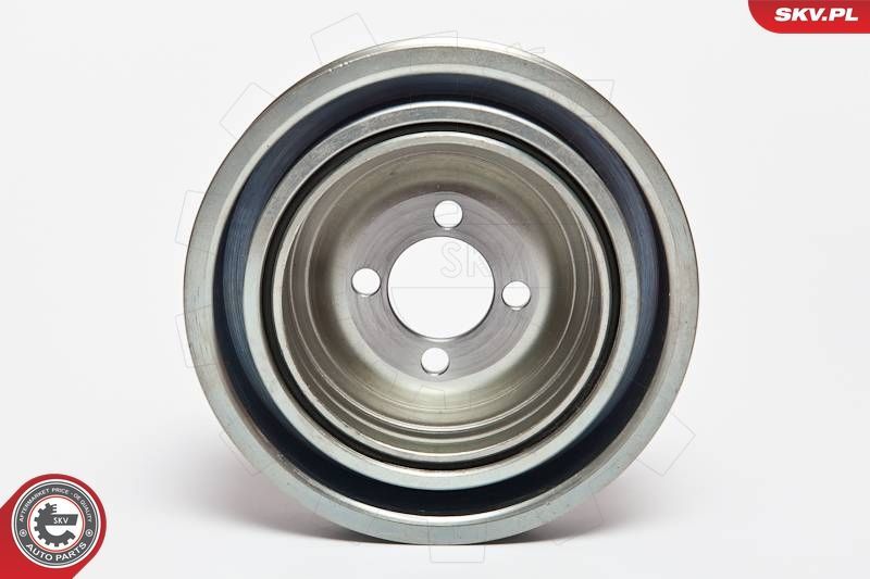 Skriemulys, alkūninis velenas ESEN SKV 95SKV312