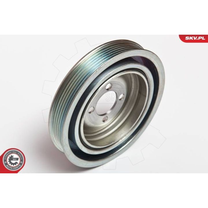 Skriemulys, alkūninis velenas ESEN SKV 95SKV312