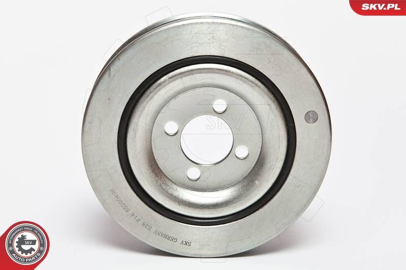 Skriemulys, alkūninis velenas ESEN SKV 95SKV312