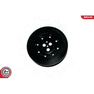 Skriemulys, alkūninis velenas ESEN SKV 95SKV318