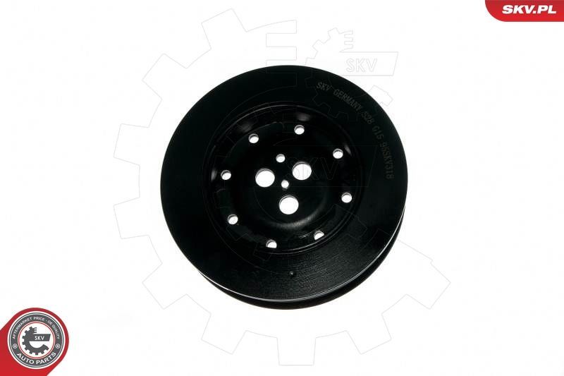 Skriemulys, alkūninis velenas ESEN SKV 95SKV318