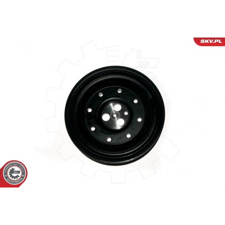 Skriemulys, alkūninis velenas ESEN SKV 95SKV318