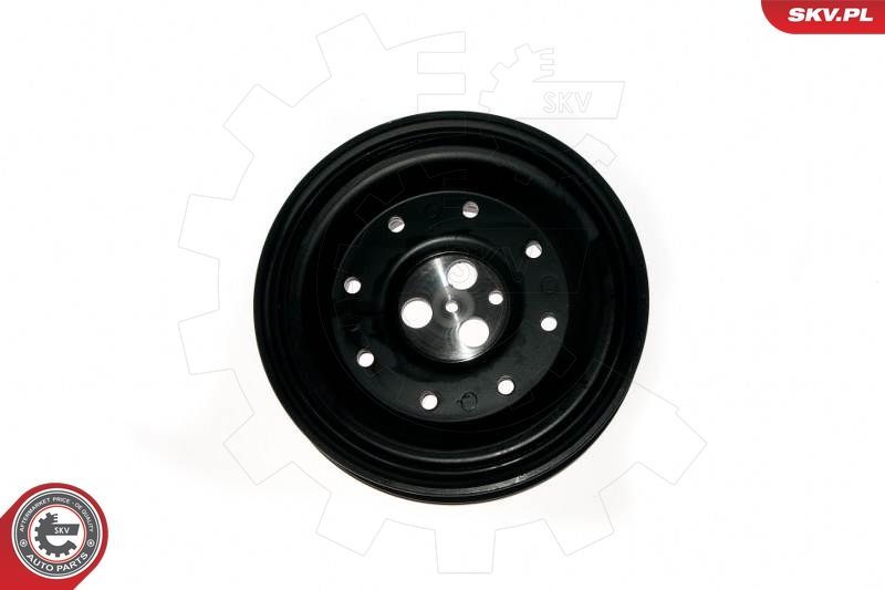 Skriemulys, alkūninis velenas ESEN SKV 95SKV318