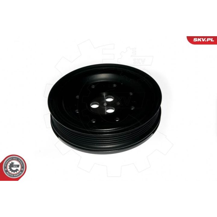 Skriemulys, alkūninis velenas ESEN SKV 95SKV318