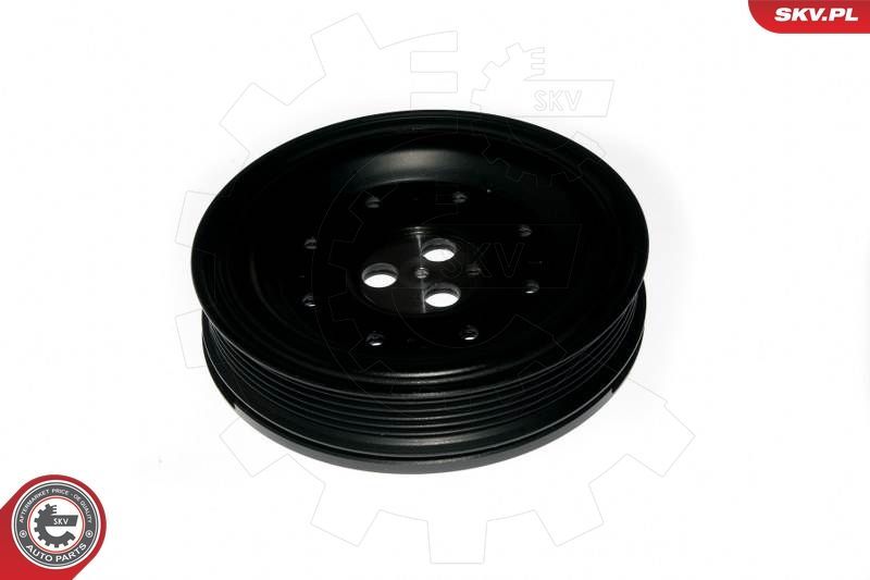 Skriemulys, alkūninis velenas ESEN SKV 95SKV318