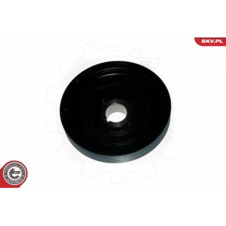 Skriemulys, alkūninis velenas ESEN SKV 95SKV321