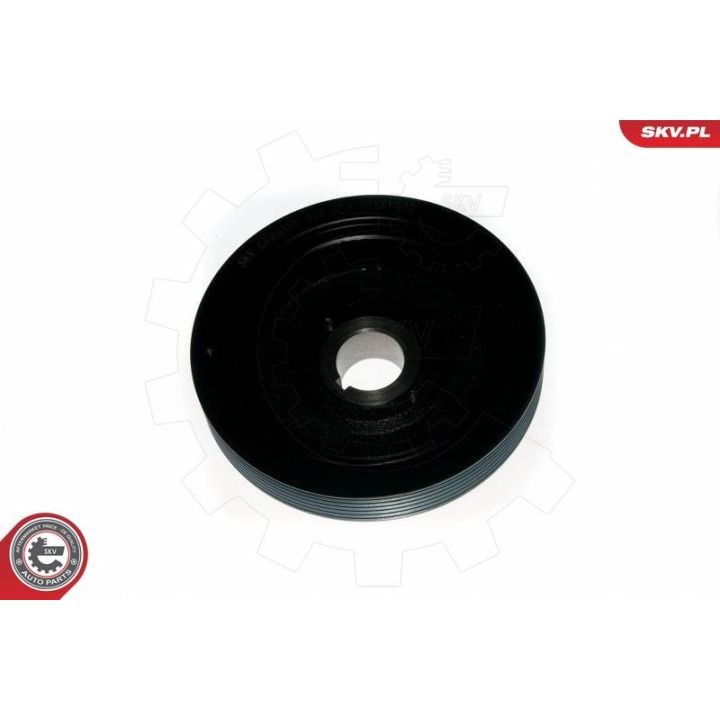 Skriemulys, alkūninis velenas ESEN SKV 95SKV321