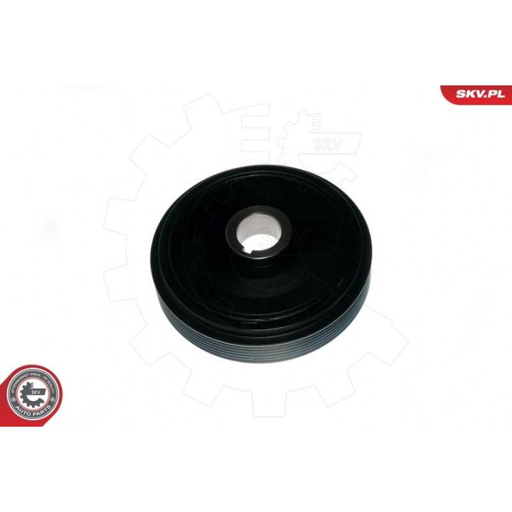 Skriemulys, alkūninis velenas ESEN SKV 95SKV321