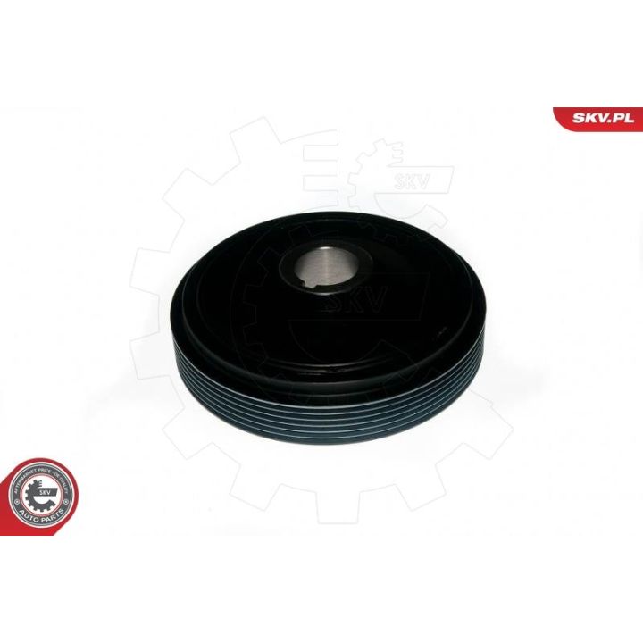 Skriemulys, alkūninis velenas ESEN SKV 95SKV321