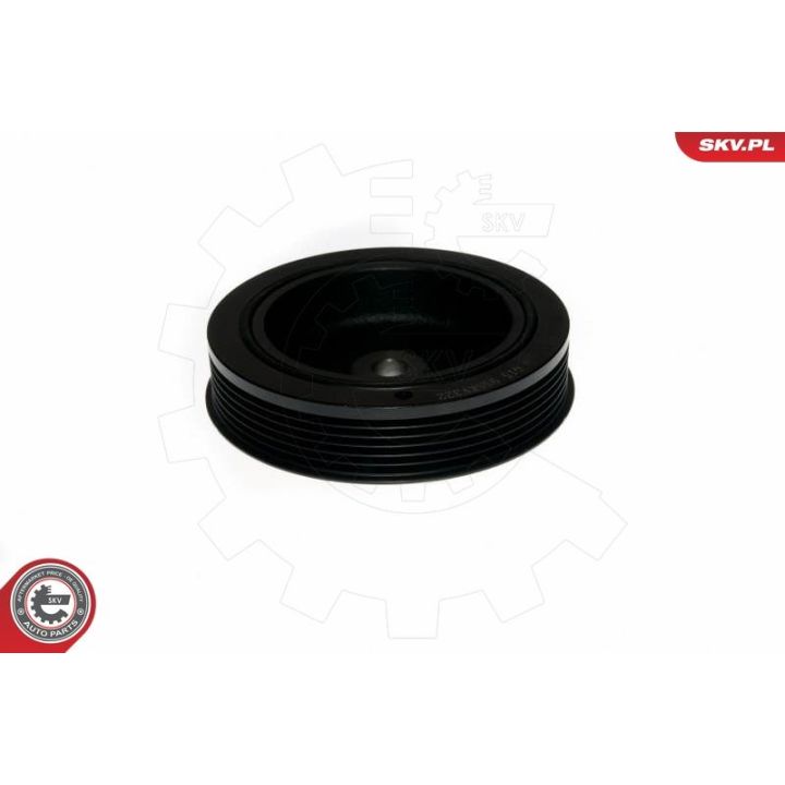 Skriemulys, alkūninis velenas ESEN SKV 95SKV322