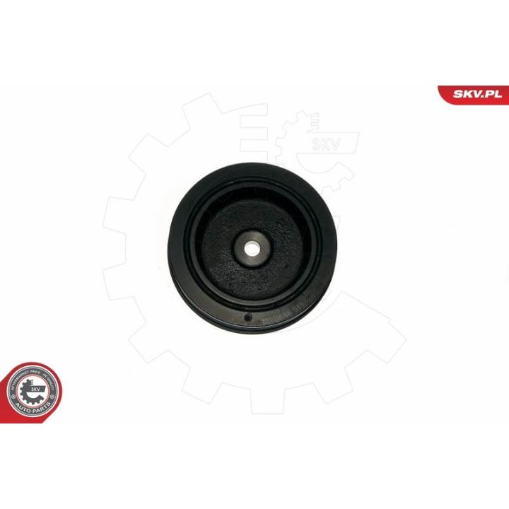 Skriemulys, alkūninis velenas ESEN SKV 95SKV322