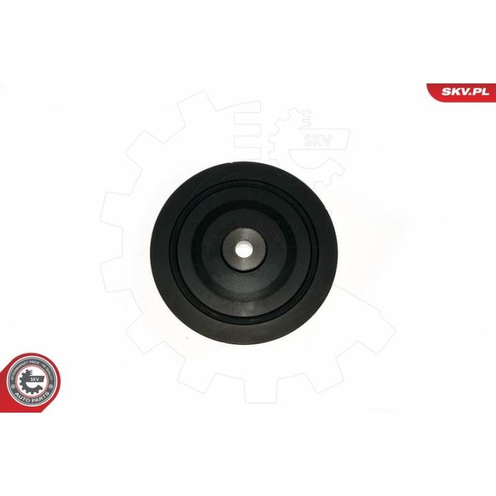 Skriemulys, alkūninis velenas ESEN SKV 95SKV322