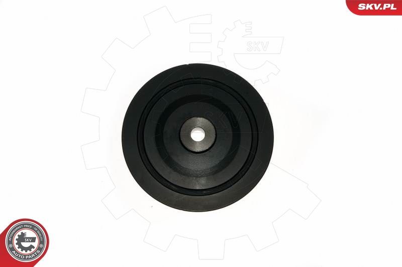 Skriemulys, alkūninis velenas ESEN SKV 95SKV322