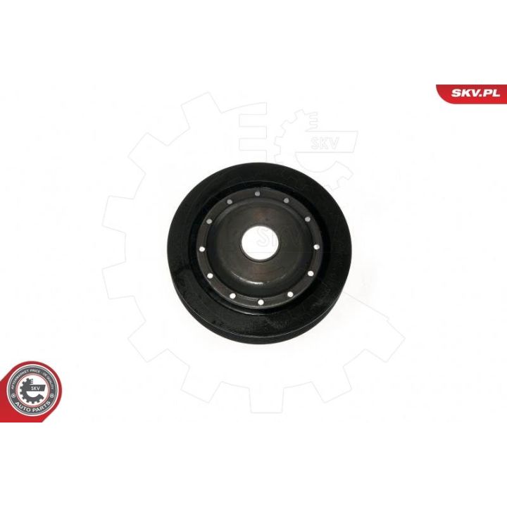 Skriemulys, alkūninis velenas ESEN SKV 95SKV323