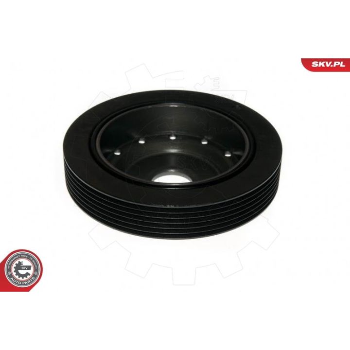 Skriemulys, alkūninis velenas ESEN SKV 95SKV323