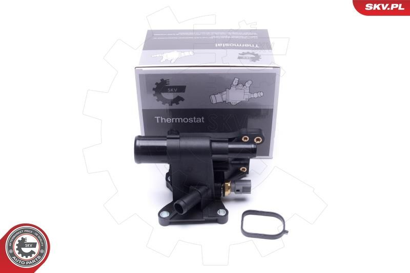 Termostatas, aušinimo skystis ESEN SKV 20SKV213