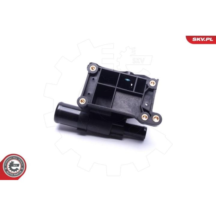 Termostatas, aušinimo skystis ESEN SKV 20SKV213