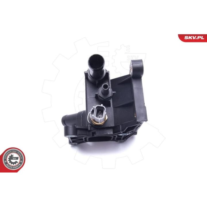 Termostatas, aušinimo skystis ESEN SKV 20SKV213